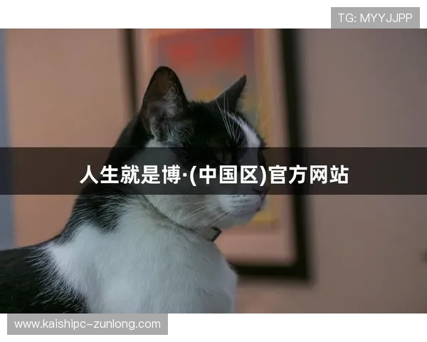 尊龙凯时人生就是搏网址揭秘游戏背后的成功故事与玩家真实的成长历程